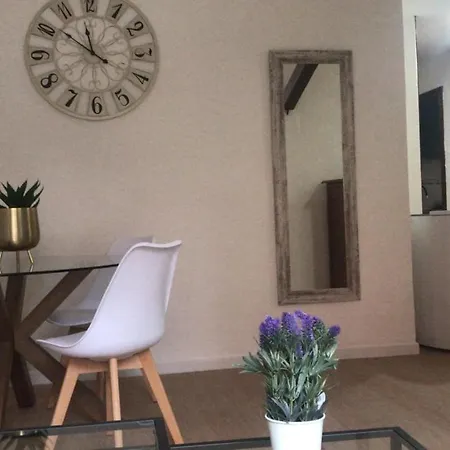 Apartment Primavera Premium